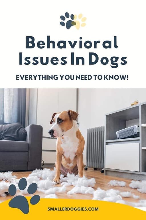 Behavioral Issues In Dogs Everything You Need To Know Smaller Doggies