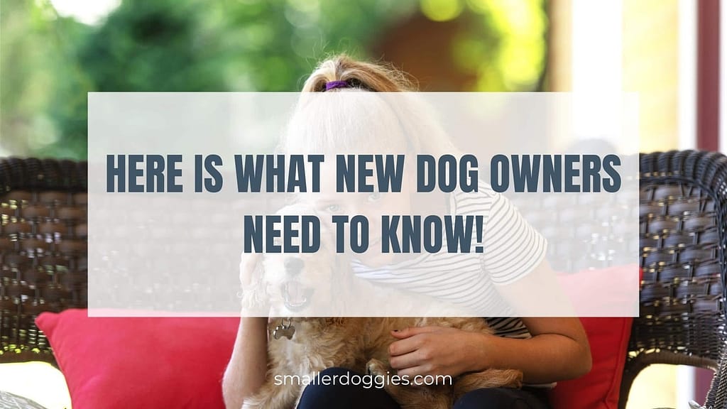 Here Is What New Dog Owners Need To Know! Smaller Doggies