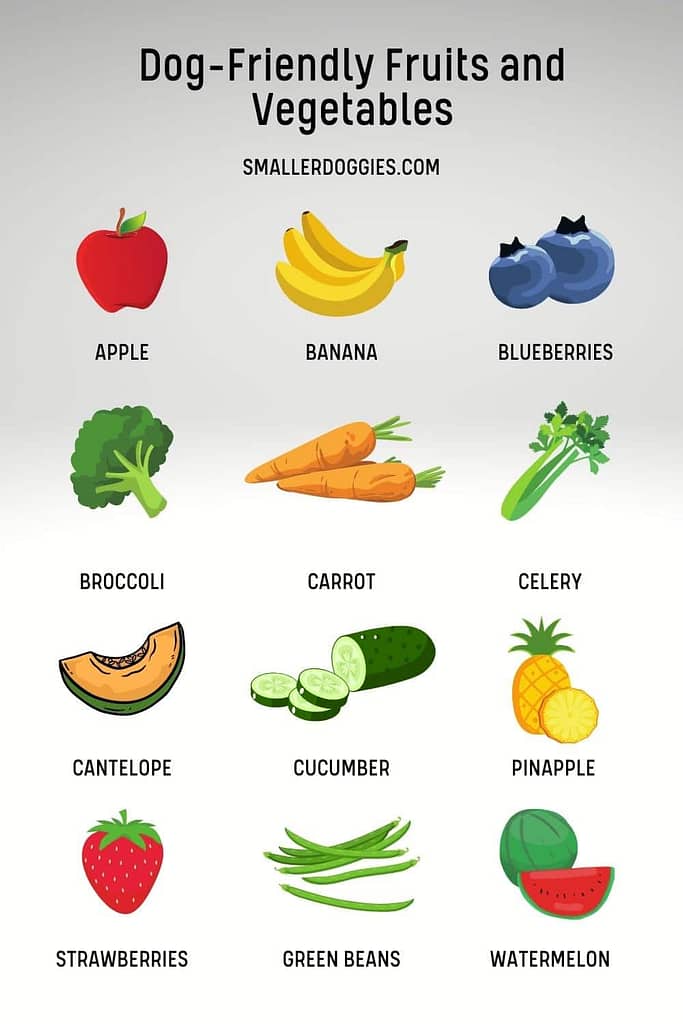 Want to give your dog a healthy treat? here are a few human-safe foods you can give your dog!  It is recommended to give small portions and monitor your dog when trying new foods just in case it does not agree with your dog