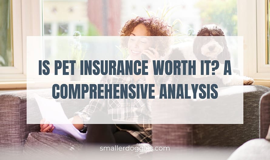 Is Pet Insurance Worth It? A Comprehensive Analysis